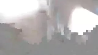 StasyQ سے سیکسی ReutyQ کے ساتھ پوزنگ سکرو