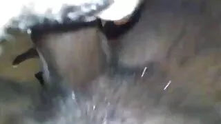 ڈرٹی فلکس سے پریفیکٹ میڈی کولنز کے ساتھ سمال ٹِٹس فلم