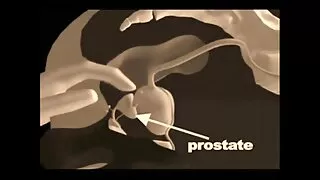 بینگ بس سے سینگ والے اردن میکس کے ساتھ ہینڈ جاب سیکس